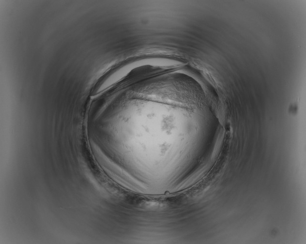 X0000090890352200708242006