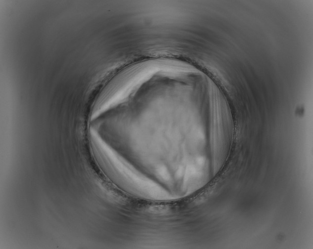 X0000090890353200708242006