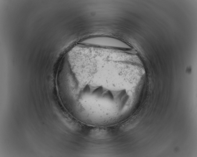 X0000090890354200708242006