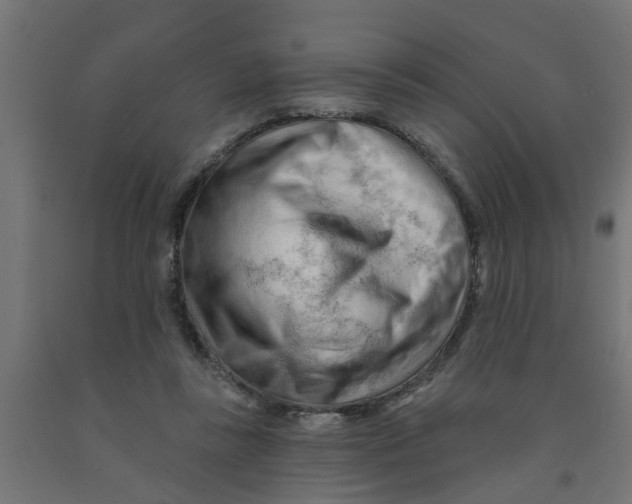 X0000090890355200708242006