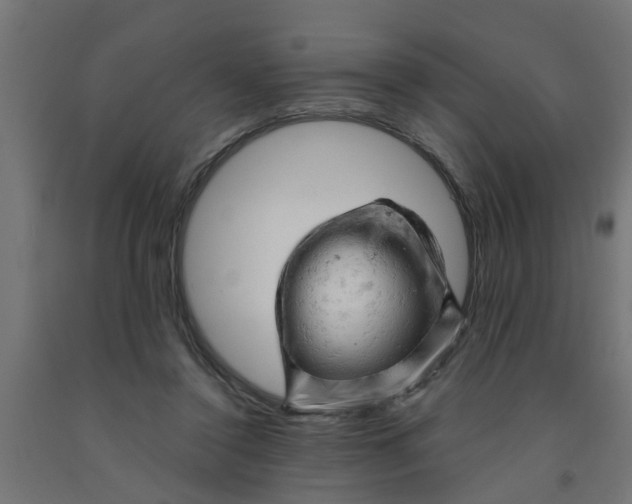 X0000090890356200708242006