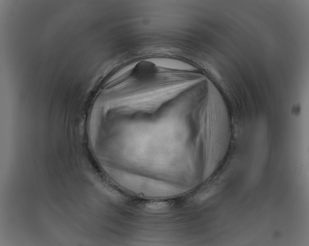 X0000090890357200708242006