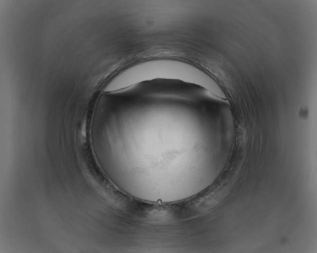 X0000090890358200708242006