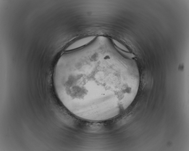 X0000090890359200708242006