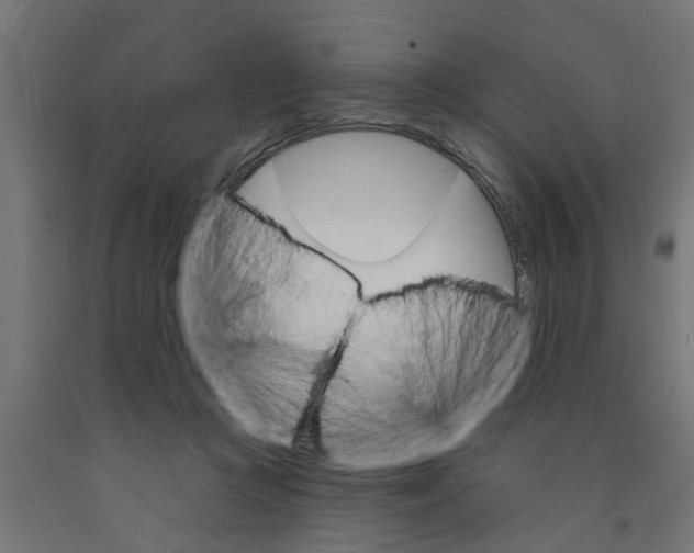 X0000090890361200708242007