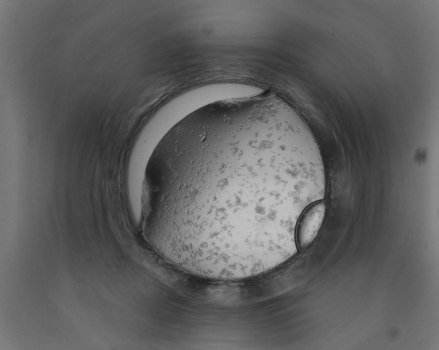 X0000090890362200708242007