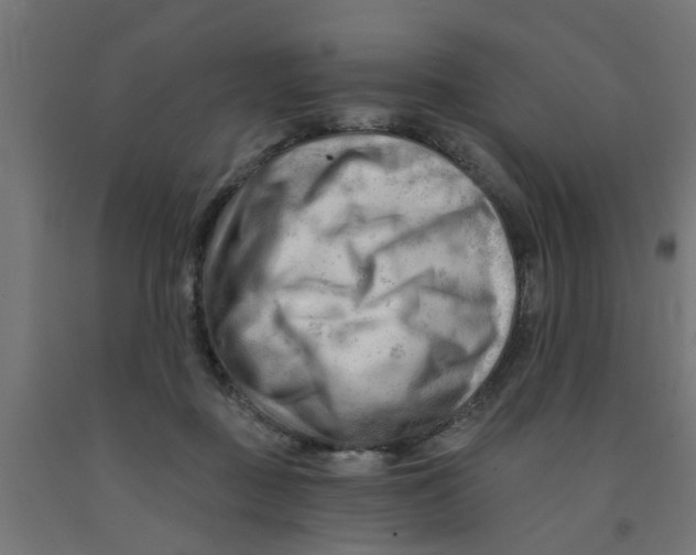 X0000090890363200708242007