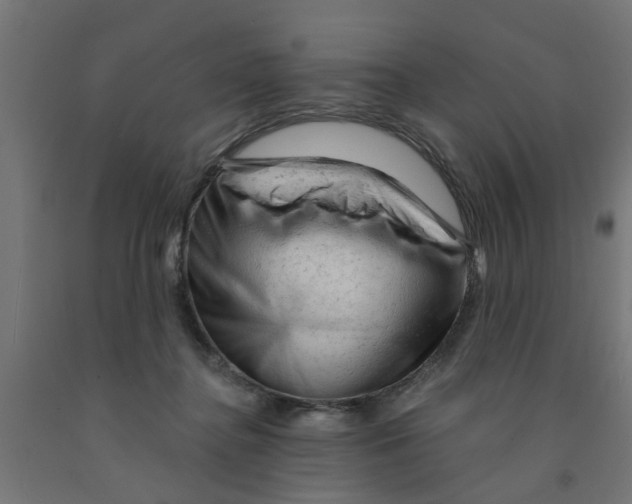 X0000090890364200708242007