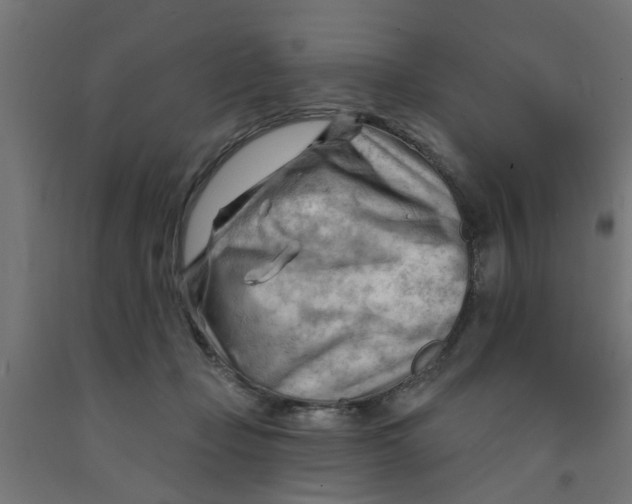 X0000090890365200708242007