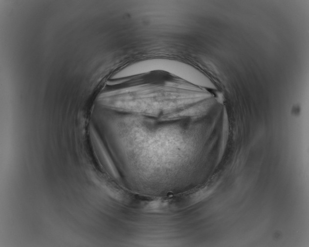 X0000090890366200708242007