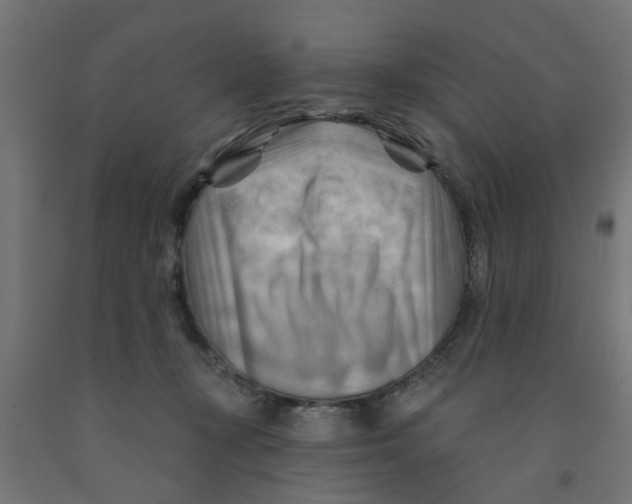 X0000090890367200708242007