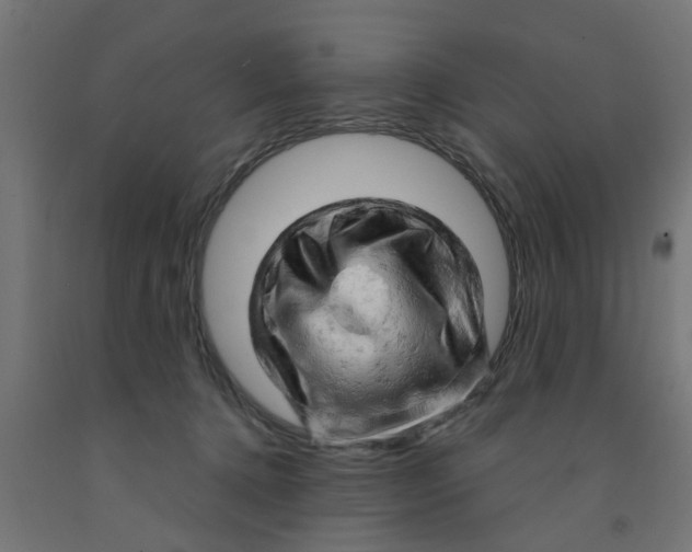 X0000090890368200708242007