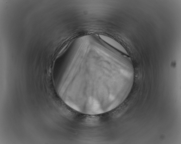 X0000090890369200708242007