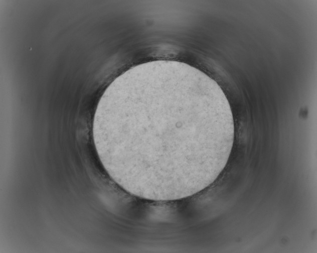 X0000090890370200708242007