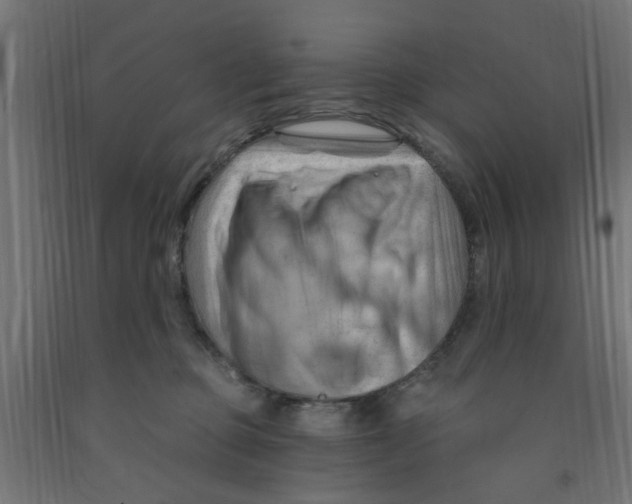 X0000090890373200708242007