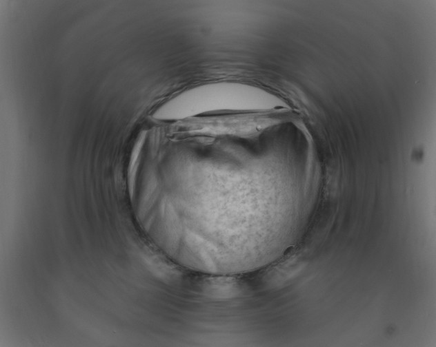 X0000090890377200708242007