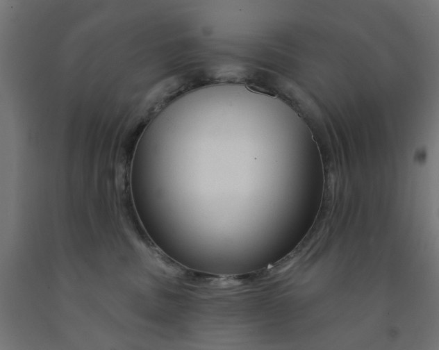 X0000090890379200708242007