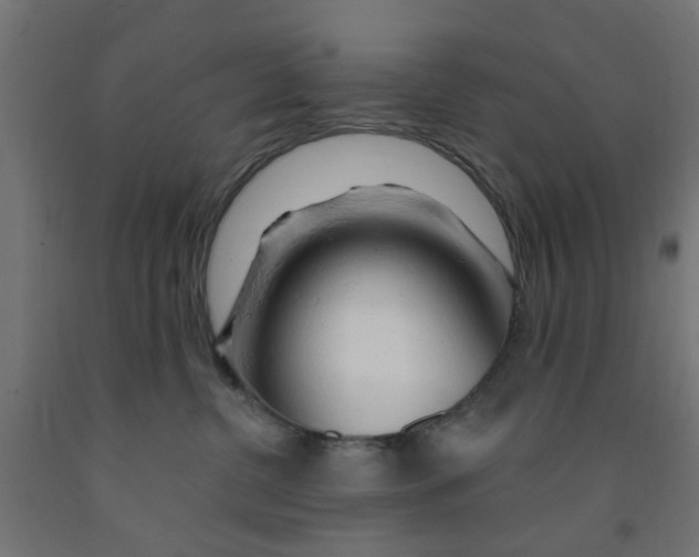 X0000090890380200708242007