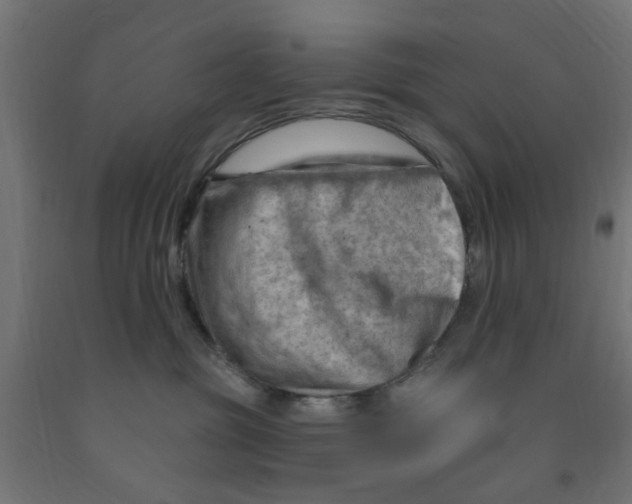 X0000090890381200708242007