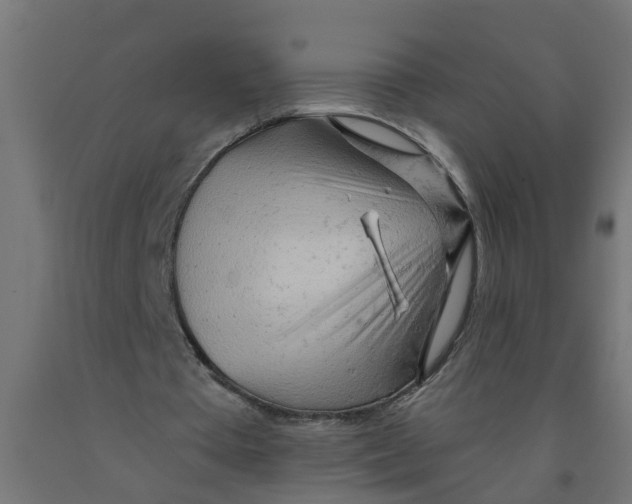 X0000090890385200708242006