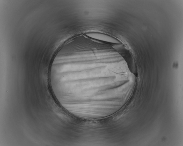 X0000090890386200708242006