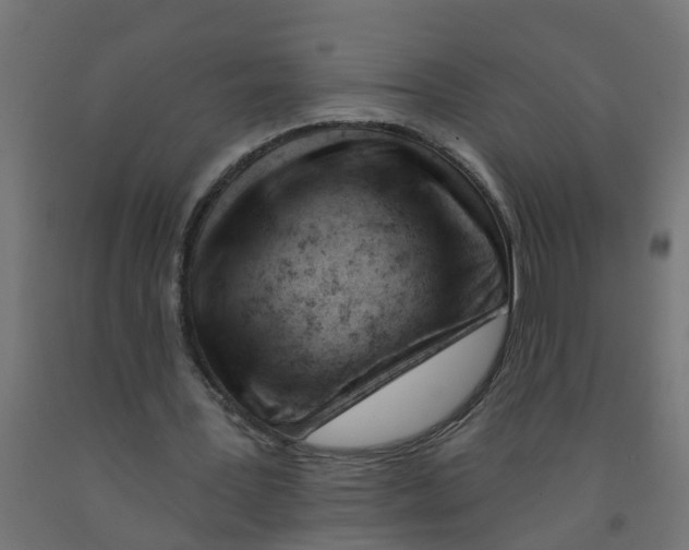 X0000090890387200708242006