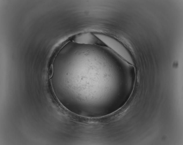 X0000090890388200708242006