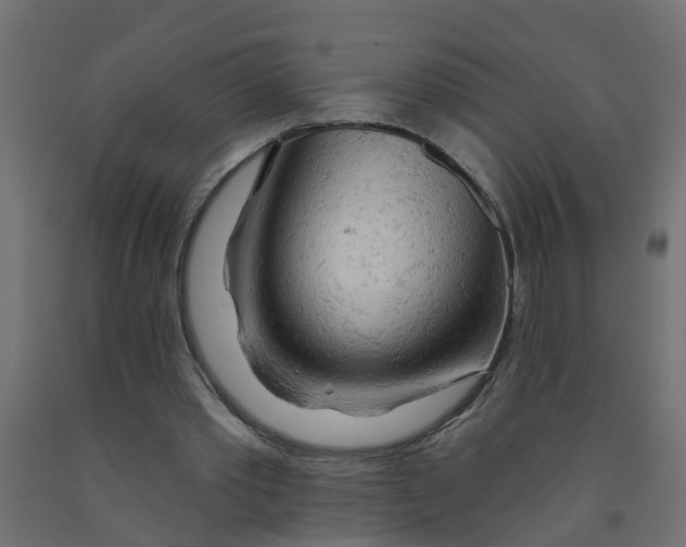 X0000090890389200708242006