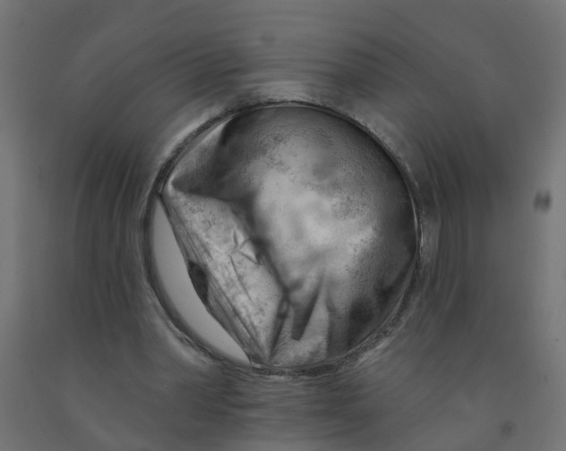 X0000090890390200708242006