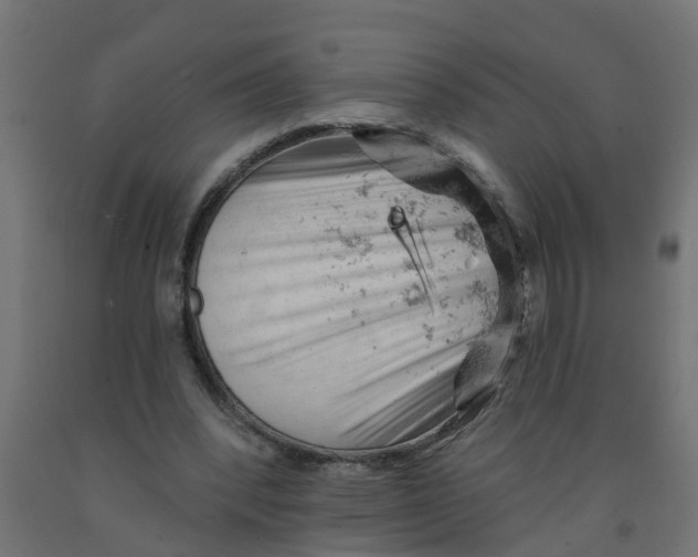 X0000090890392200708242006