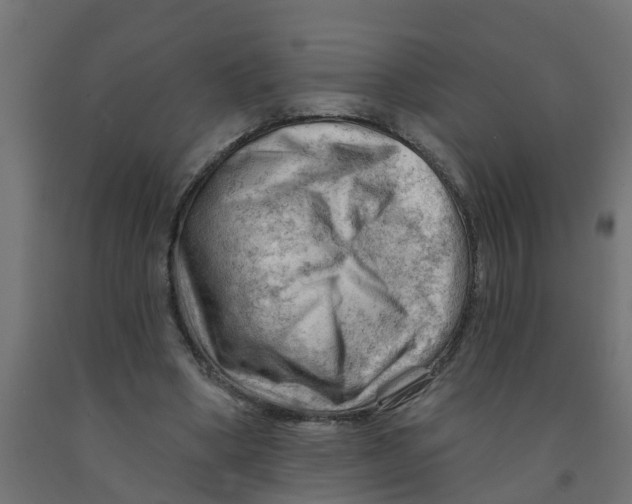 X0000090890394200708242006