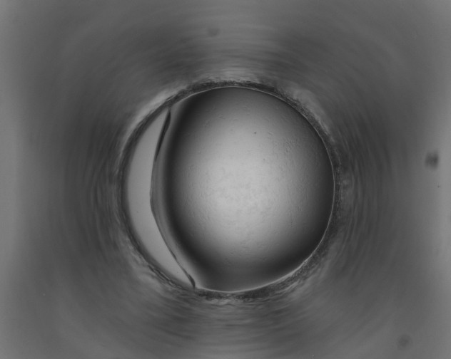 X0000090890395200708242006