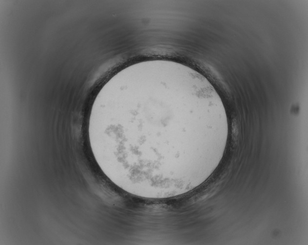 X0000090890396200708242006