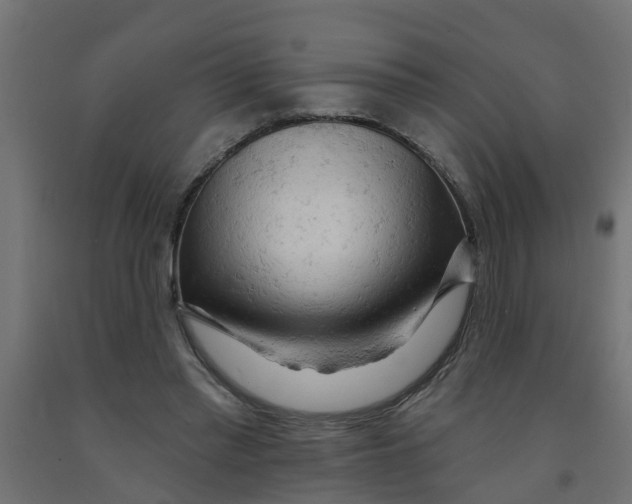 X0000090890397200708242006