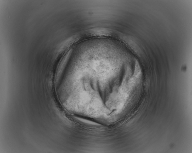 X0000090890402200708242006