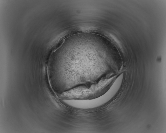 X0000090890405200708242006