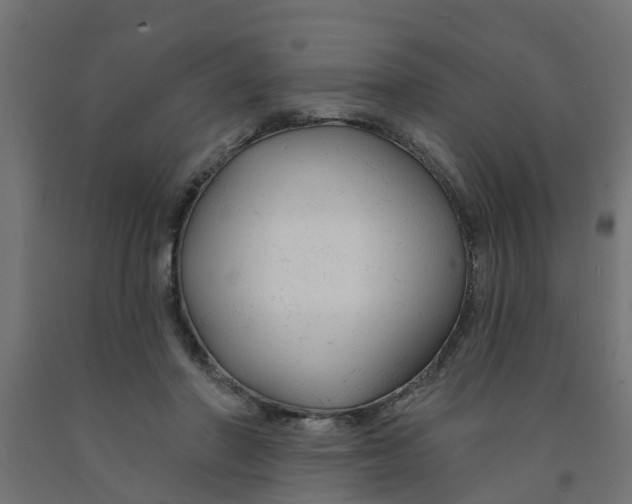 X0000090890406200708242006