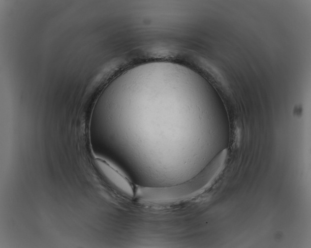 X0000090890407200708242006