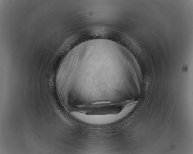 X0000090890408200708242006