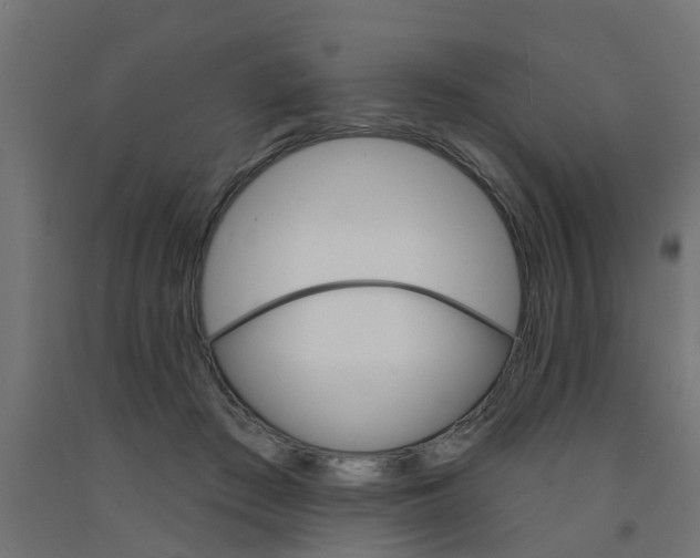 X0000090890409200708242006