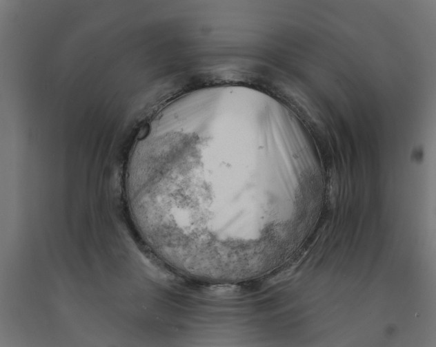 X0000090890410200708242006