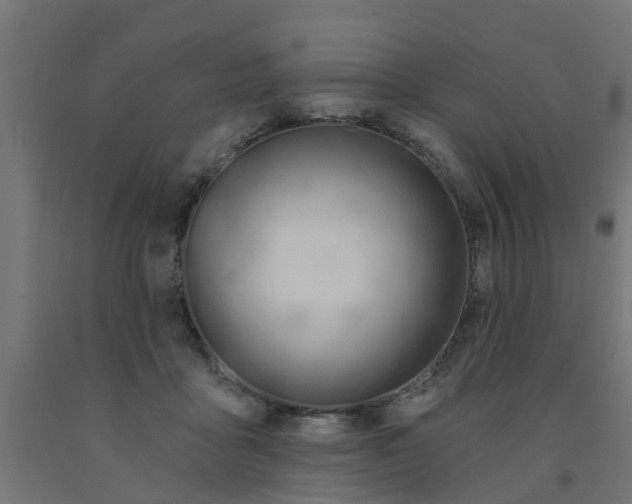 X0000090890411200708242006