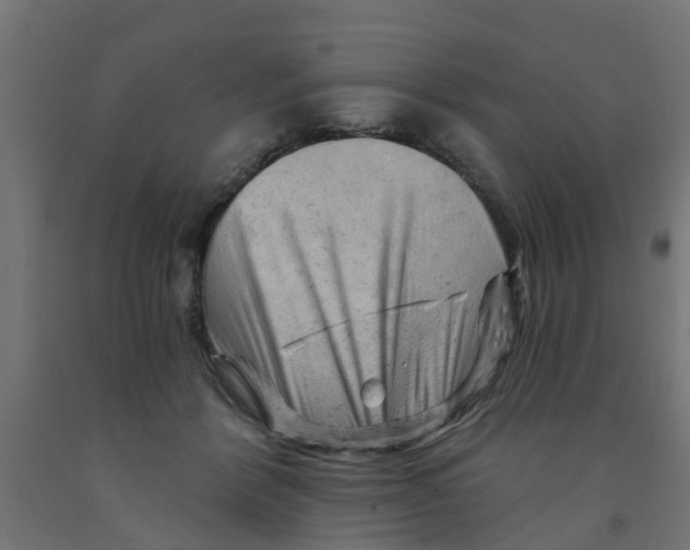 X0000090890412200708242006