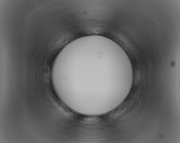 X0000090890414200708242006