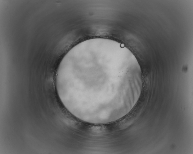 X0000090890415200708242006