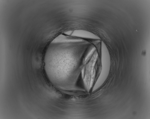 X0000090890416200708242006