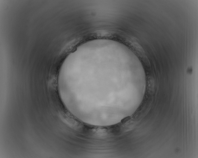 X0000090890419200708242006