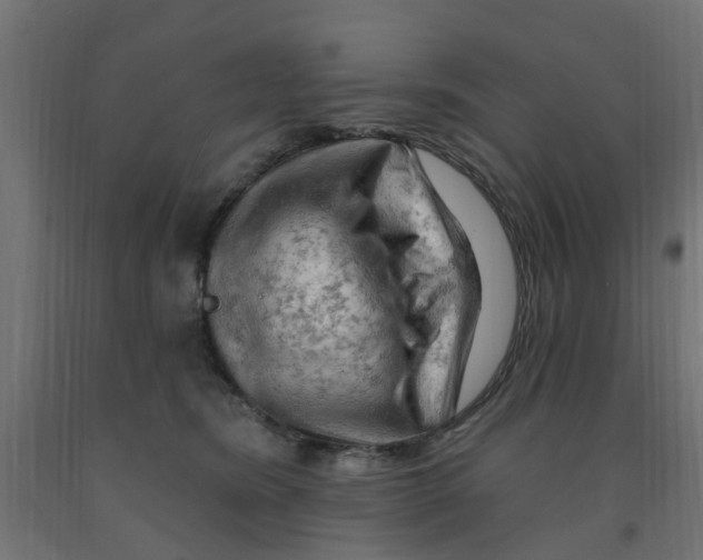 X0000090890420200708242006