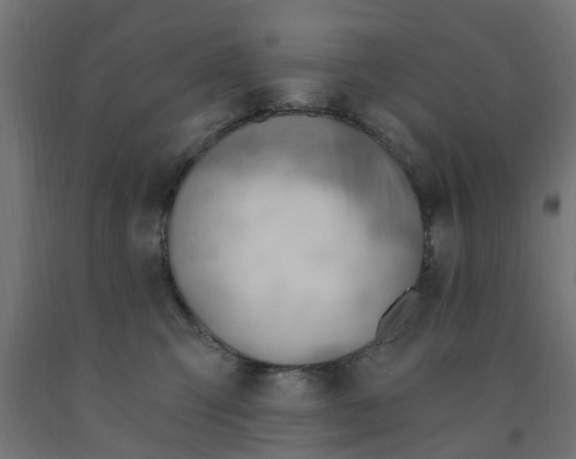 X0000090890423200708242006