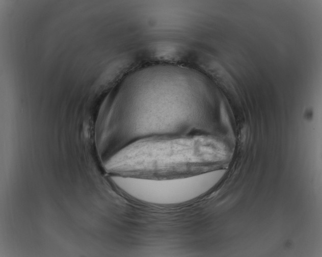 X0000090890424200708242006